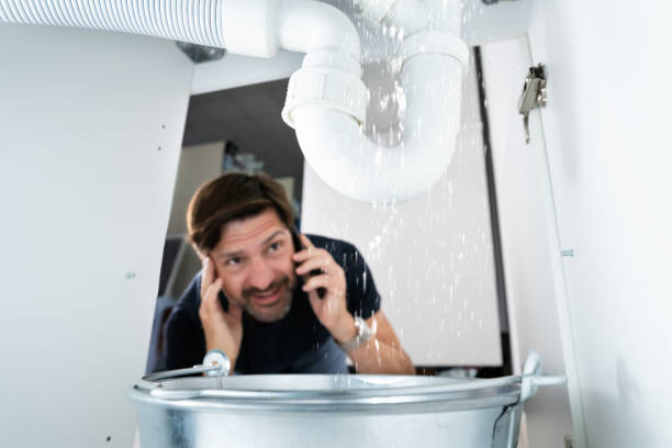 Best Plumbing Repair Near Me  in Strawberry Plains, TN
