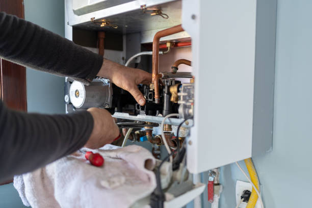 Best Water Heater Repair  in Strawberry Plains, TN