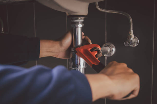 Best Clogged Drain Plumber  in Strawberry Plains, TN